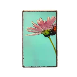 Josephs Jewelers Home Décor>Houston Llew Spiritile – “Cherish”
