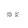 Josephs Jewelers Earrings>14K White Gold Cluster Diamond Stud Earrings