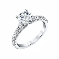 Josephs Jewelers Engagement Rings>14K White Gold Round Cut Classic Engagement Ring – Anais