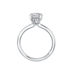 Josephs Jewelers Engagement Rings>14K White Gold Round Cut Hidden Halo Engagement Ring – Melany