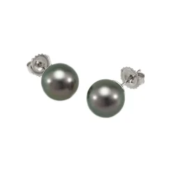 Josephs Jewelers Earrings>18K White Gold Tahitian Pearl Stud Earrings