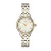 Josephs Jewelers Seiko Watches>Stainless Steel Two Toned Seiko Diamonds Collectionn Watch