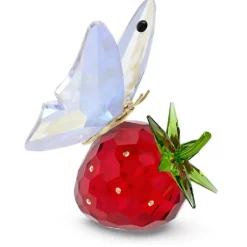 Josephs Jewelers Home Décor>Swarovski – Idyllia Butterfly and Strawberry